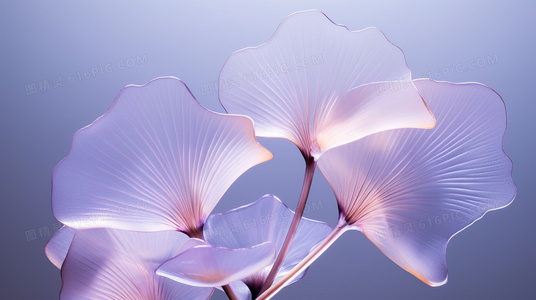 塞壬小镇：海雾深处的低语