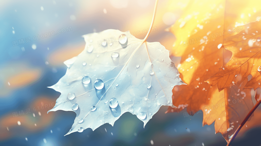 豪掷千金显风流，十二生肖谁最牛？