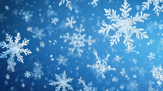 从零开始的荒野旅社：如何在自然法则中创造舒适？