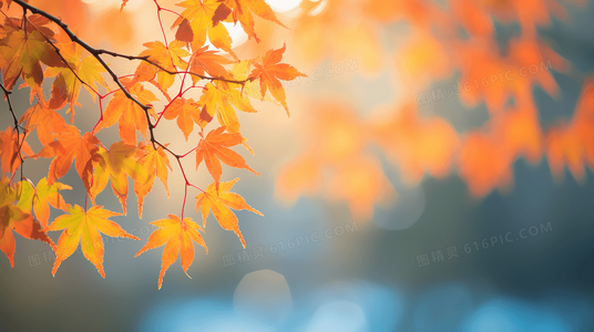 劲爆战士：终局觉醒宿命对决引爆宇宙新纪元