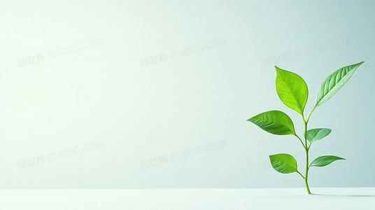 反乌托邦新经典：同等族群如何重构未来社会图景