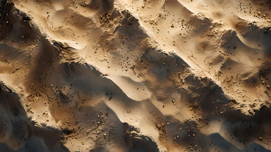 暗夜微光：庄园少年与女仆的完整命运交响