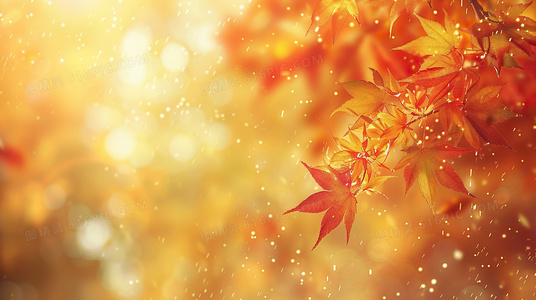 暗黑幽默再临：机器肉鸡第九季十大爆笑名场面