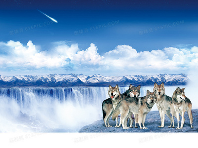 安娜贝尔2：诞生揭秘恐怖娃娃的黑暗起源