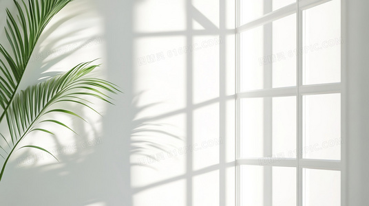 与恐惧对坐：一百次无声的对话