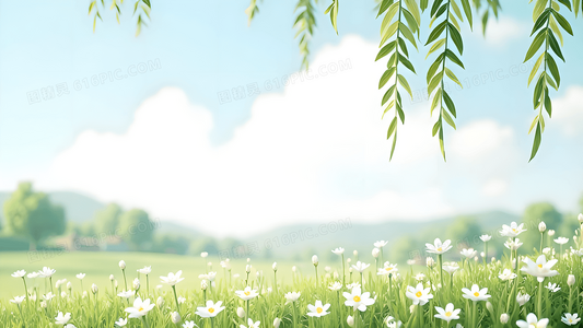 林国雄谈命运：风水命理与个人选择的交汇点