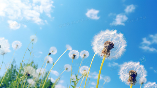 主演互动直播预告：探班2023中秋奇妙游录制现场