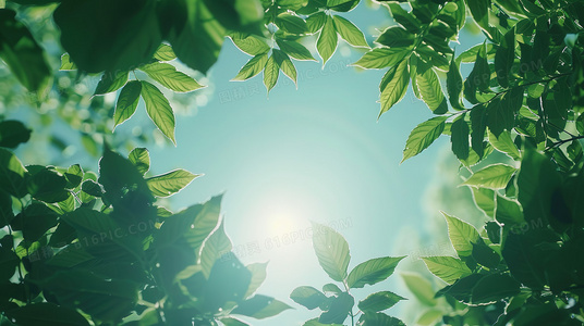 隐世仙尊的赘婿生活：低调是最强的炫耀