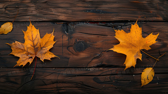 在崩坏的城市中疾驰：变异狂奔的环境叙事艺术