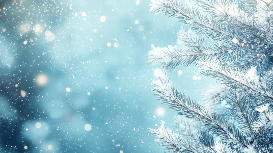 最后的艇家：水上人家的味觉地图