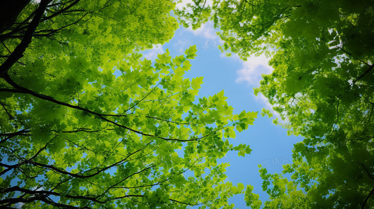 经典IP新篇章：金刚与光头神探的爆笑生死时速