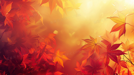 从无人问津到万众瞩目：阿刁歌曲背后的坚持与突破