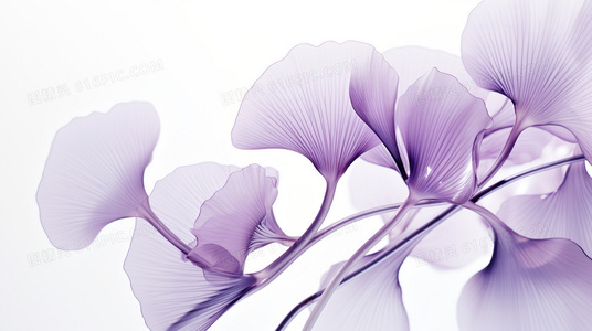 营养丰胸食谱：吃出健康丰满的胸部