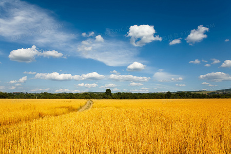 短剧推荐：看大小姐如何为妹妹横扫一切障碍