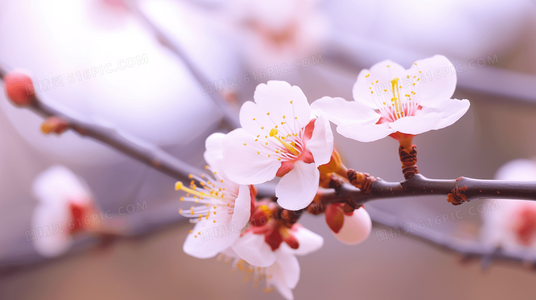 开局瘟疫横行，我凭现代医学拯救王朝