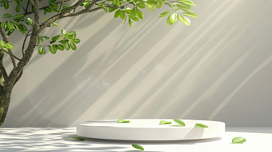 荒野独居第七季：选手们的装备选择与生存智慧