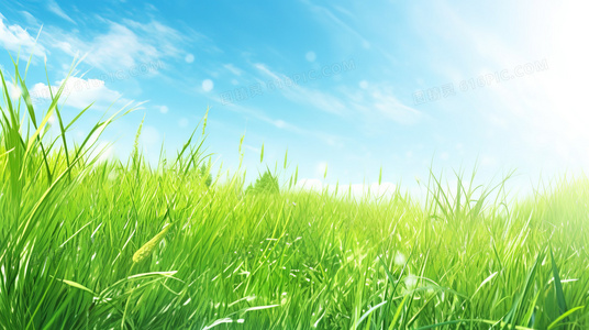 僵尸复活完整版：灾难来临前的必备知识