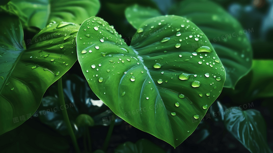 灰烬中站起：动荡时期的韧性书写