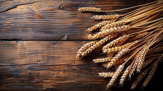 暗藏的社会寓言：意外制造公司如何用荒诞解构现代人的生存焦虑